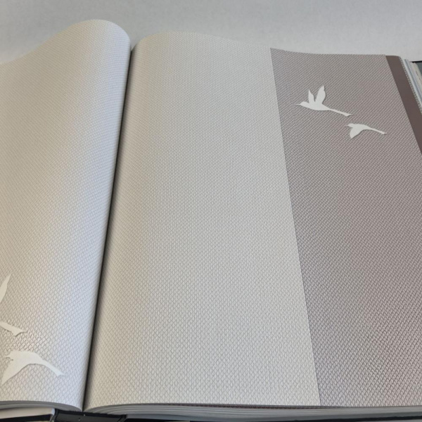 Andrea Rossi Spectrum Box 54457-10