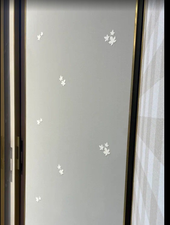 Andrea Rossi Spectrum Pro 54384-4 Andrea Rossi Spectrum Pro 54384-4