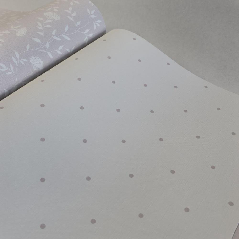 Andrea Rossi Spectrum Box 54454-18 Andrea Rossi Spectrum Box 54454-18