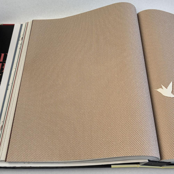 Andrea Rossi Spectrum Box 54457-13