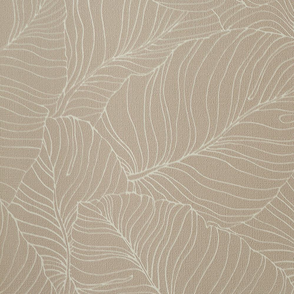 Andrea Rossi Palmaria 54464-3