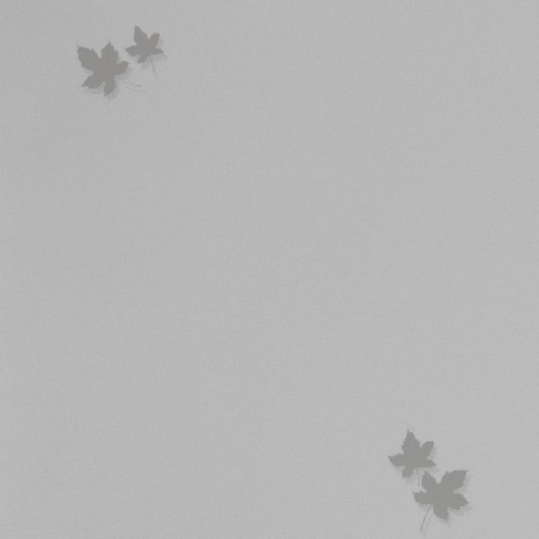 Andrea Rossi Spectrum Pro 54384-4 Andrea Rossi Spectrum Pro 54384-4