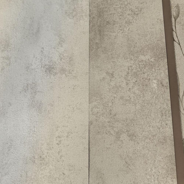 Alessandro Allori Argiano 15025-3