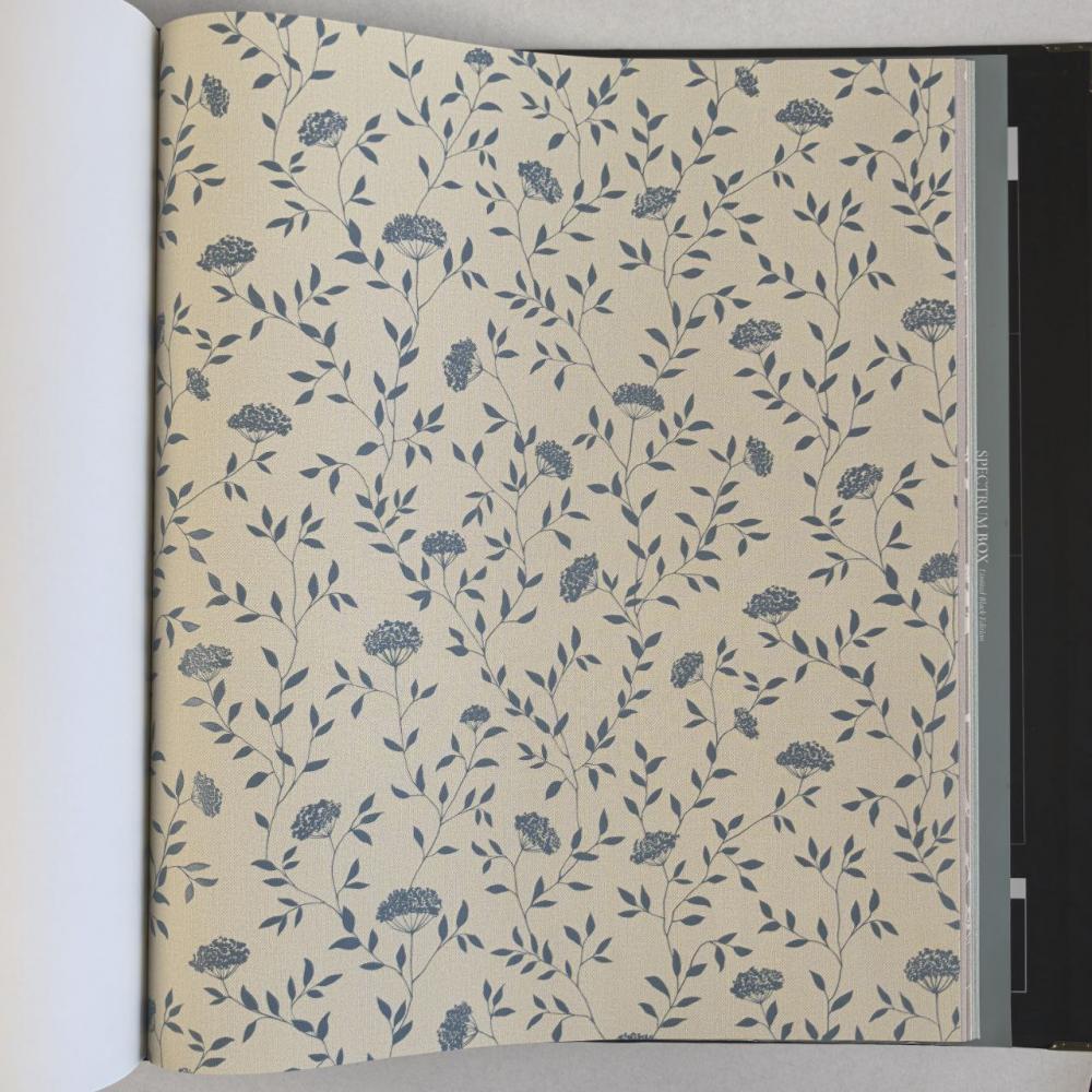 Andrea Rossi Spectrum Box 54456-11 Andrea Rossi Spectrum Box 54456-11