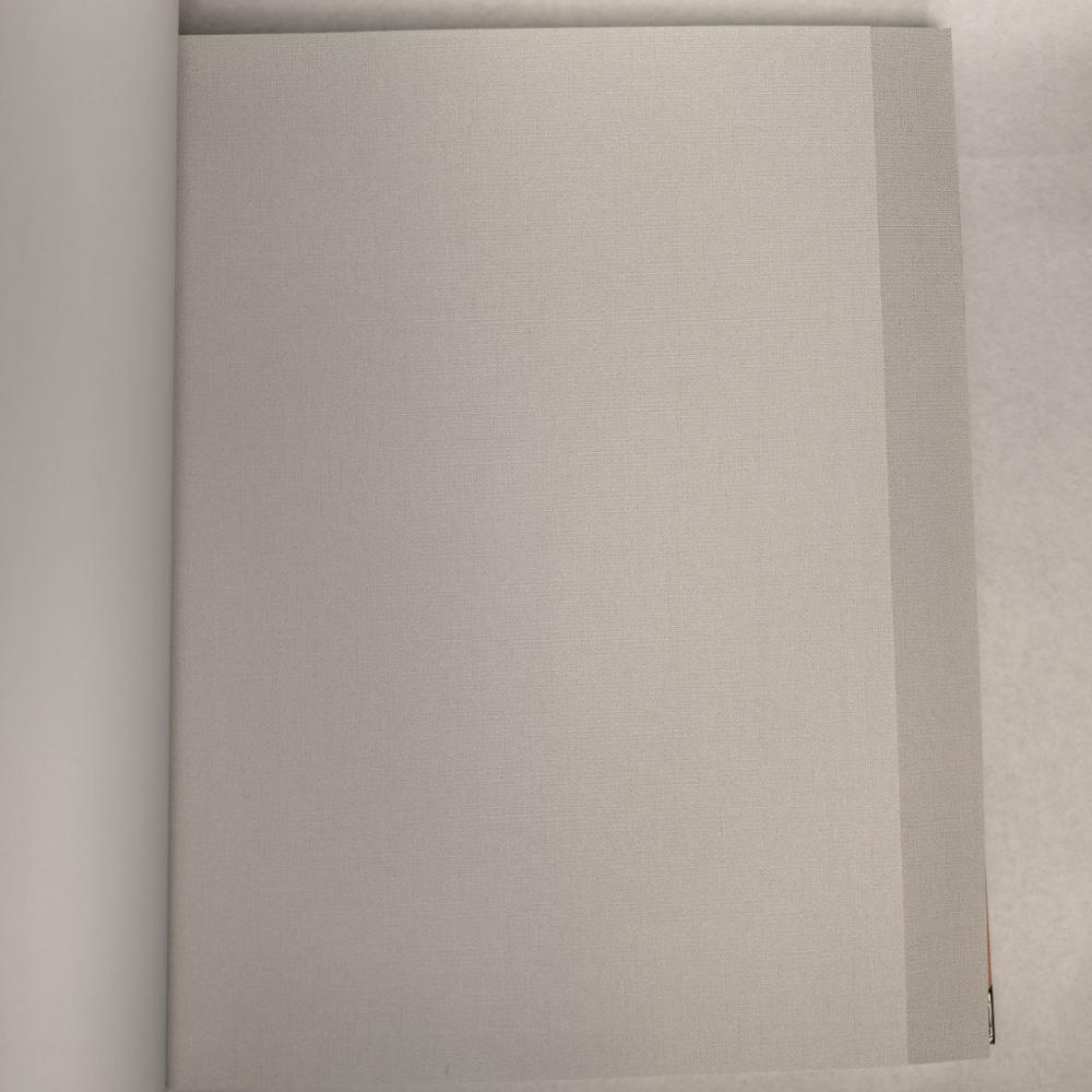 Andrea Rossi Berggi 54448-2 Andrea Rossi Berggi 54448-2