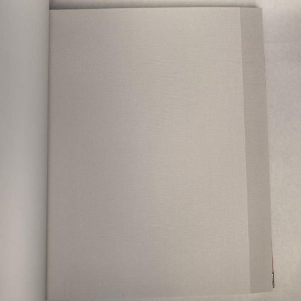 Andrea Rossi Berggi 54448-2 Andrea Rossi Berggi 54448-2