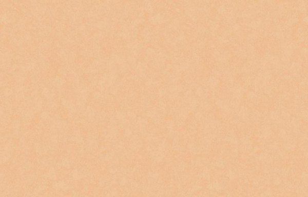 Loymina Shade SD3 003 Loymina Shade SD3 003