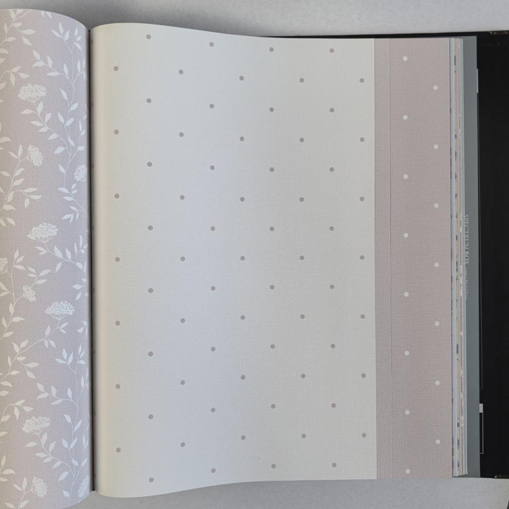 Andrea Rossi Spectrum Box 54454-18 Andrea Rossi Spectrum Box 54454-18