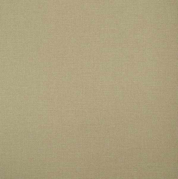 Andrea Rossi Palmaria 54461-6