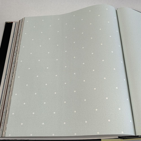 Andrea Rossi Spectrum Box 54454-16 Andrea Rossi Spectrum Box 54454-16