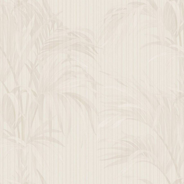 Zambaiti Parati Philipp Plein Z 81018