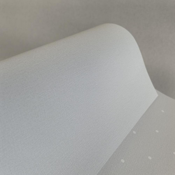 Andrea Rossi Spectrum Box 54455-6