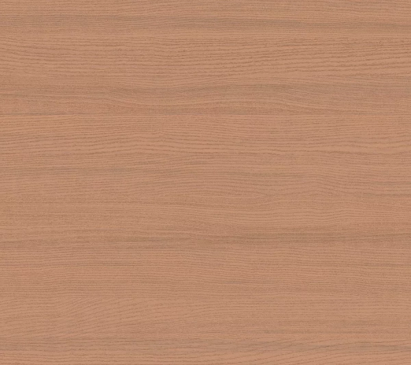 Loymina Terra TER2 004/1 Loymina Terra TER2 004/1